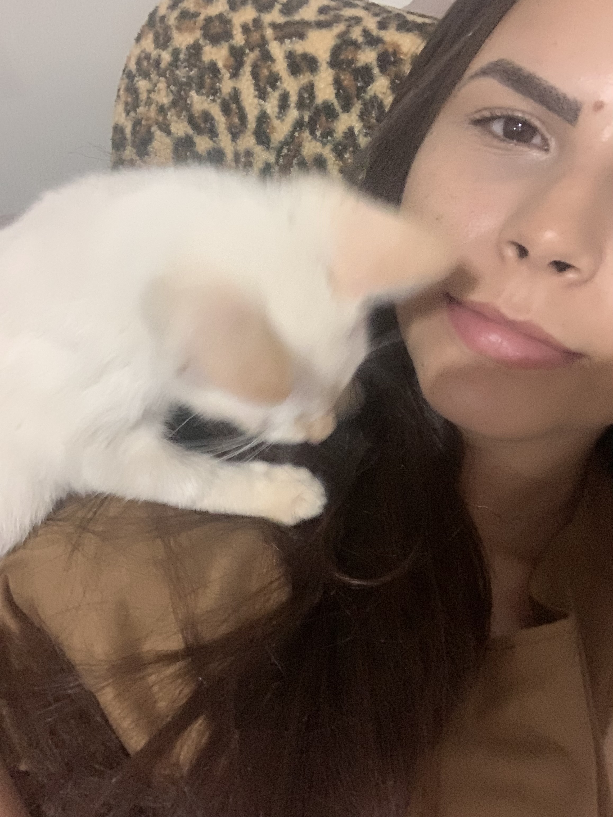 Foto de Delvina
