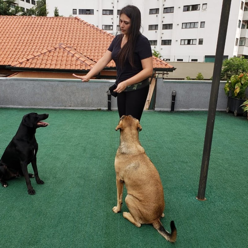 Foto de Debora Delgado Rossi